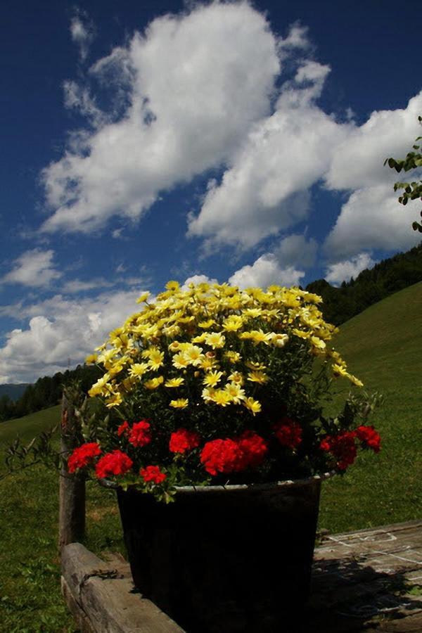 Huettenferien Koeberlhof ซังคท์เกออร์เกน อ็อบ มูเรา ภายนอก รูปภาพ